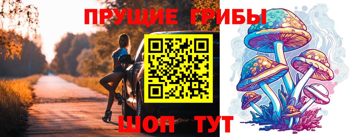 Галлюциногенные грибы мухоморы Зима