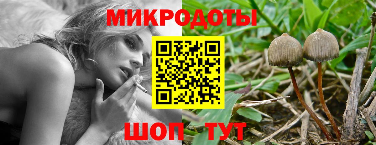 Зима  Псилоцибиновые грибы Magic Shrooms  Вход с VPN 