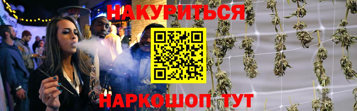 Каннабис гибрид  Вход с VPN  Зима  Конопля ГИДРОПОН  Шишки марихуана планчик 